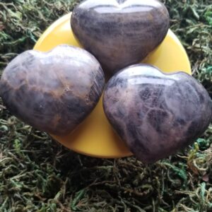 Heart shaped Black Moonstone