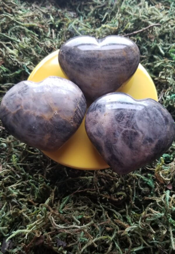 Heart shaped Black Moonstone